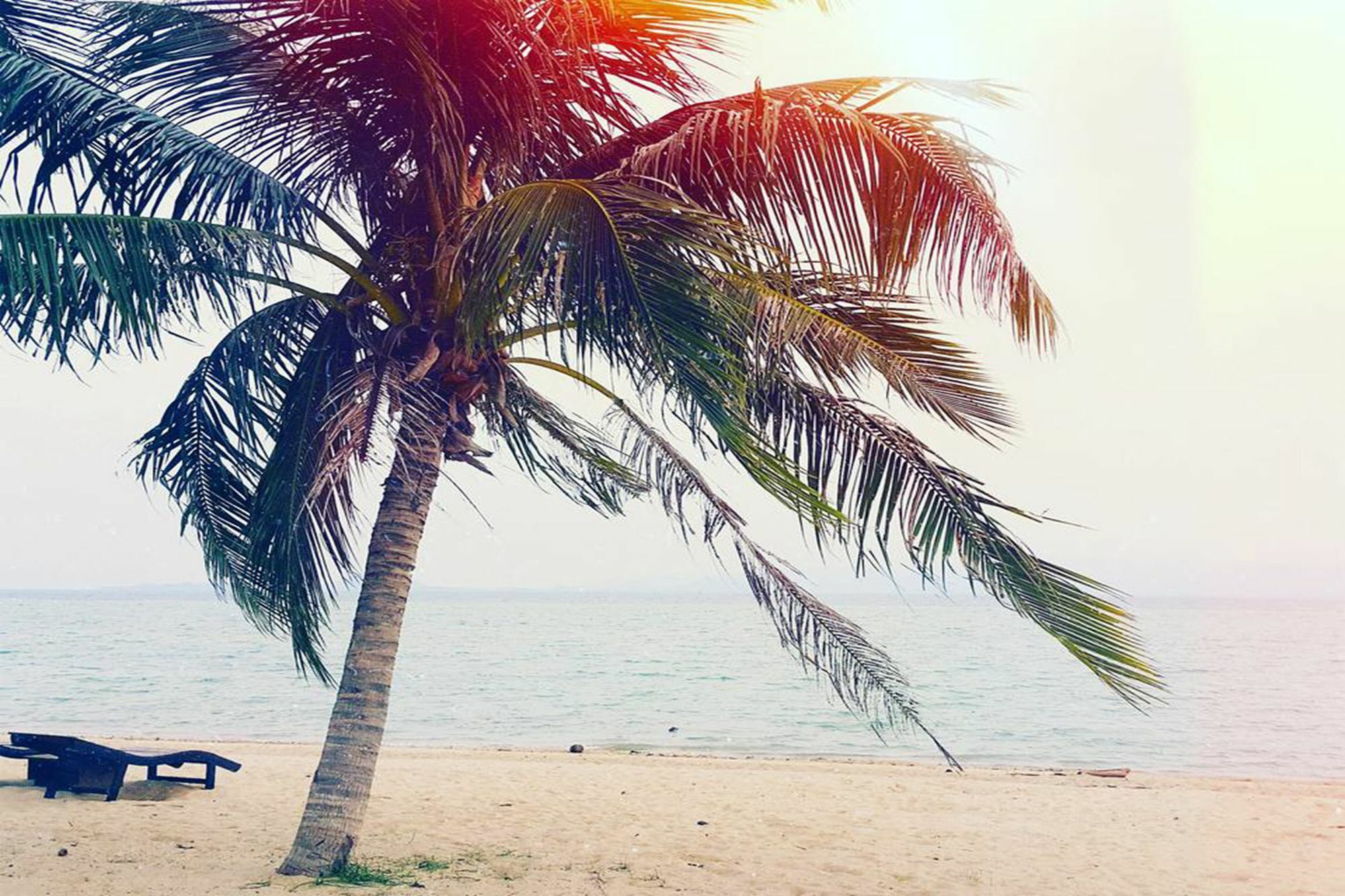 Domingo Hostel Phangan パンガン島 エクステリア 写真